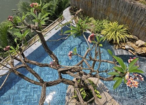5 Bedrooms Pool Villa – Casamia Hoi An (CASA5B)