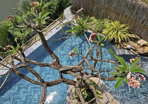 5 Bedrooms Pool Villa – Casamia Hoi An (CASA5B)